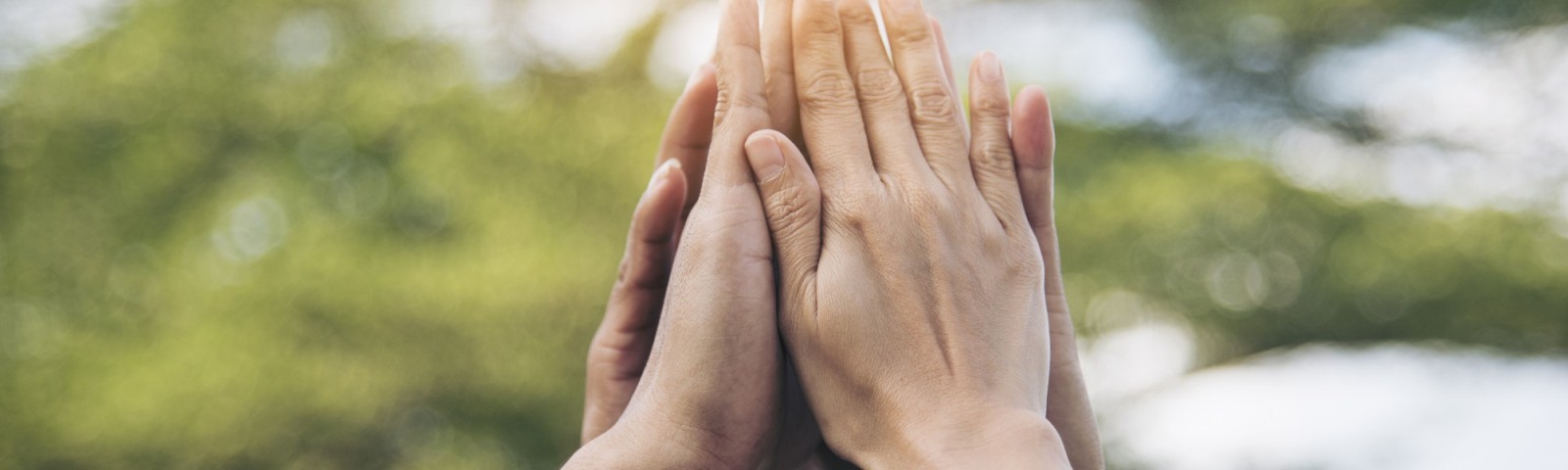 AdobeStock 313531960