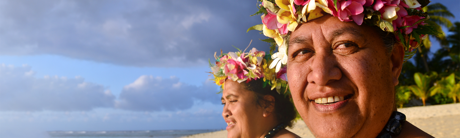 Banner image for webpage v3